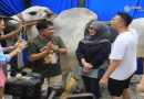 Raffi Ahmad dan Nagita Slavina Dapat Sederet Hadiah Spesial di Hari Ulang Tahun, dari Sapi Jumbo hingga Kado Anak