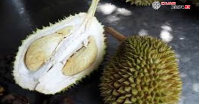 Indonesia Ekspor Durian Beku ke China Senilai Rp42,5 Miliar, Tembus Pasar Global