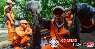 Susi Pudjiastuti Usul Ikan Sapu-Sapu Diolah Jadi Pelet dan Pupuk, Ini Alasannya