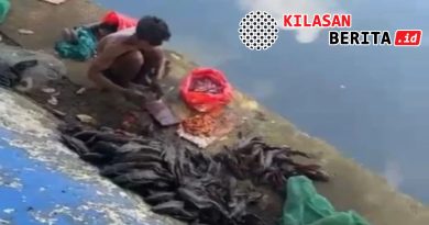 5 Pria Diamankan di Jakarta Pusat Saat Cari Ikan Sapu-Sapu untuk Bahan Siomai