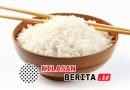karbohidrat picu kenaikan berat badan melalui metabolisme
