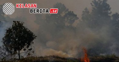 PDIP Desak Moratorium Hutan dan Reboisasi untuk Atasi Karhutla